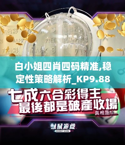 白小姐四肖四码精准,稳定性策略解析_KP9.888