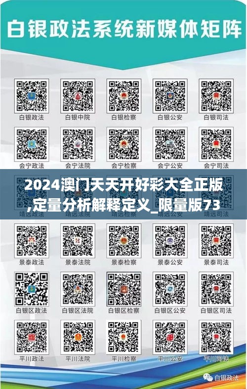 2024澳门天天开好彩大全正版,定量分析解释定义_限量版73.685