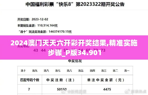 2024澳门天天六开彩开奖结果,精准实施步骤_P版34.901
