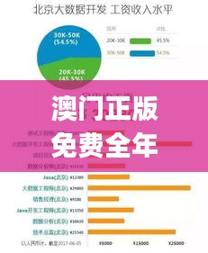 澳门正版免费全年资料大全旅游团,数据驱动执行方案_8DM58.747