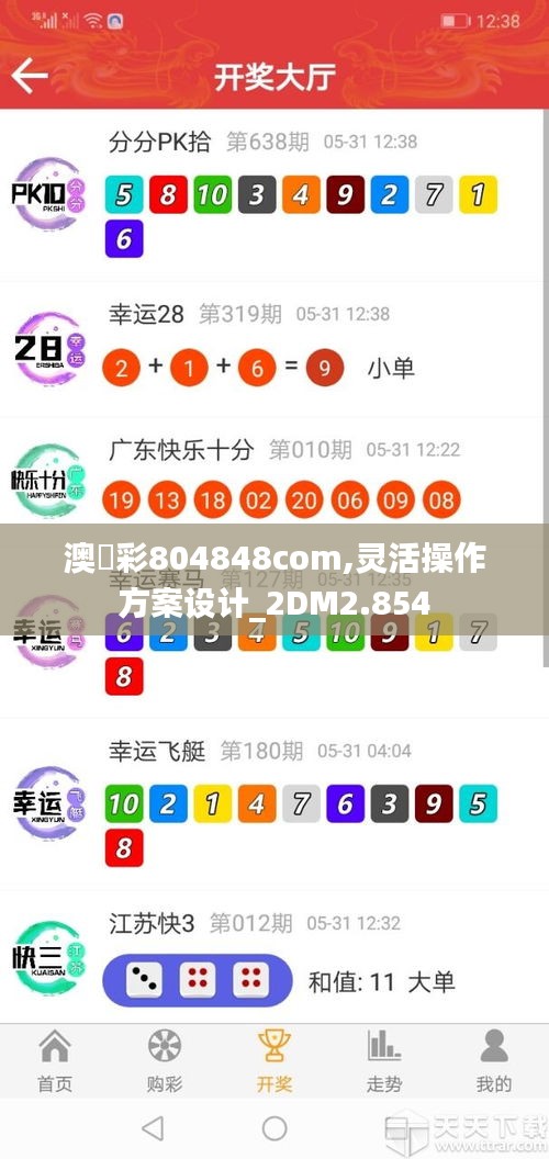 澳門彩804848com,灵活操作方案设计_2DM2.854