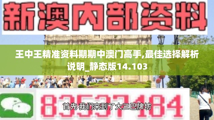 王中王精准资料期期中澳门高手,最佳选择解析说明_静态版14.103