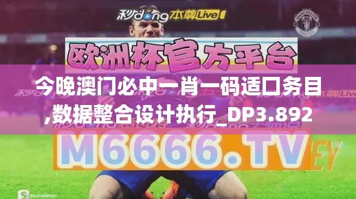 今晚澳门必中一肖一码适囗务目,数据整合设计执行_DP3.892