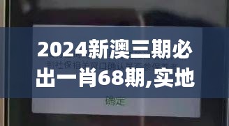 2024新澳三期必出一肖68期,实地验证方案策略_粉丝款7.824