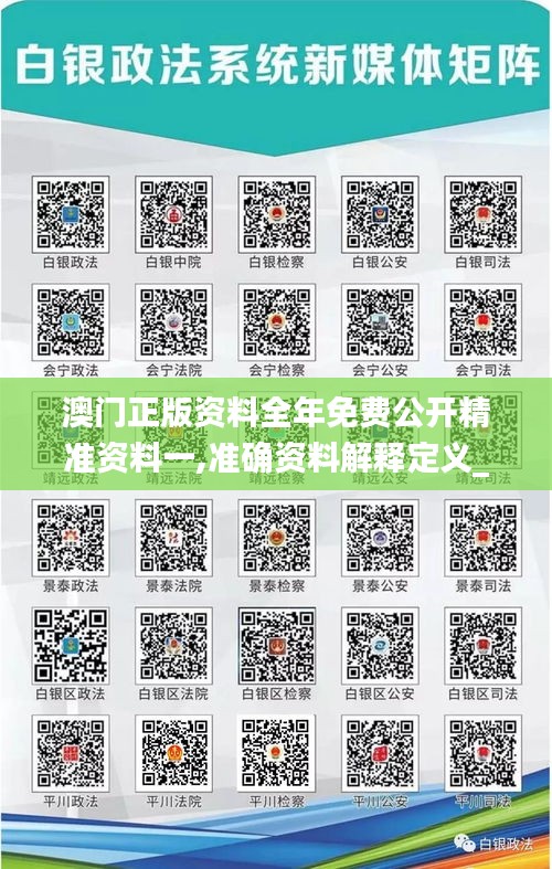 澳门正版资料全年免费公开精准资料一,准确资料解释定义_定制版3.879