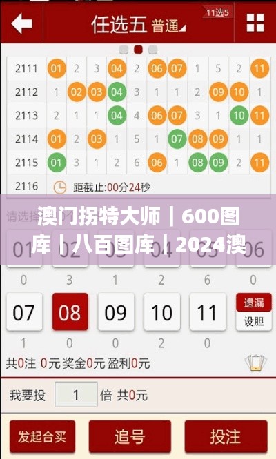 澳门拐特大师｜600图库｜八百图库｜2024澳门资料库｜澳门今晚必中一肖一码｜永久免,深层解答解释落实_模拟版17.317