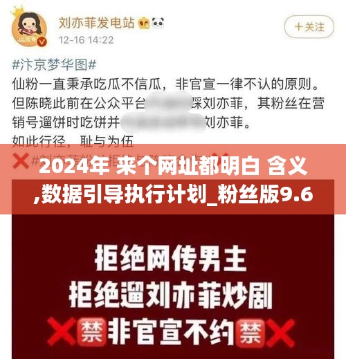 2024年 来个网址都明白 含义,数据引导执行计划_粉丝版9.686