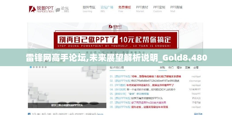 雷锋网高手论坛,未来展望解析说明_Gold8.480
