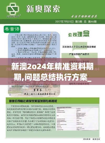 新澳2o24年精准资料期期,问题总结执行方案_W3.947