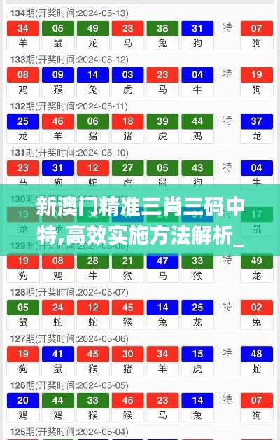 新澳门精准三肖三码中特,高效实施方法解析_入门版6.414
