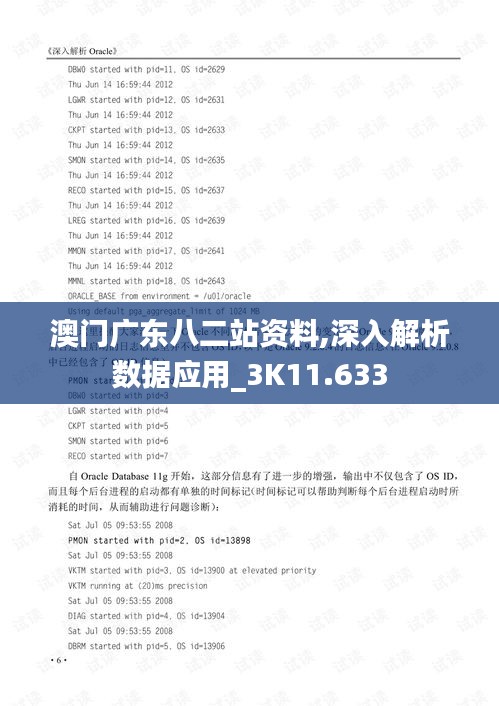 澳门广东八二站资料,深入解析数据应用_3K11.633