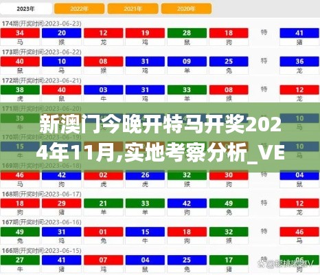 新澳门今晚开特马开奖2024年11月,实地考察分析_VE版10.246
