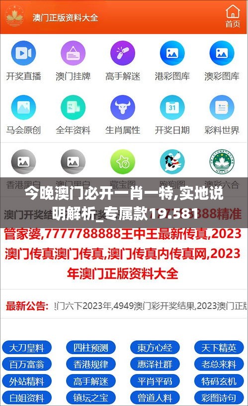 今晚澳门必开一肖一特,实地说明解析_专属款19.581