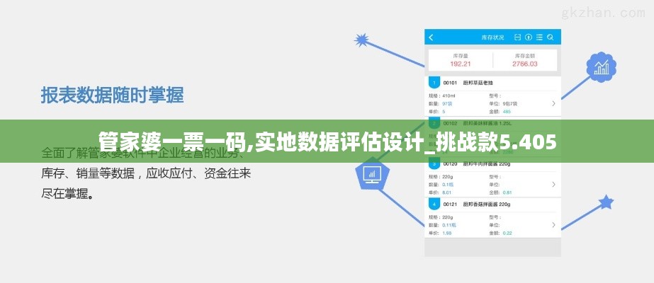 管家婆一票一码,实地数据评估设计_挑战款5.405