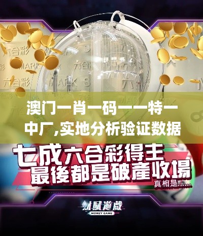 澳门一肖一码一一特一中厂,实地分析验证数据_尊贵版1.237