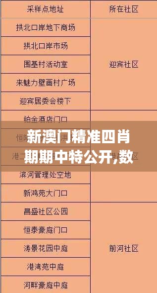 新澳门精准四肖期期中特公开,数据导向执行解析_优选版8.234