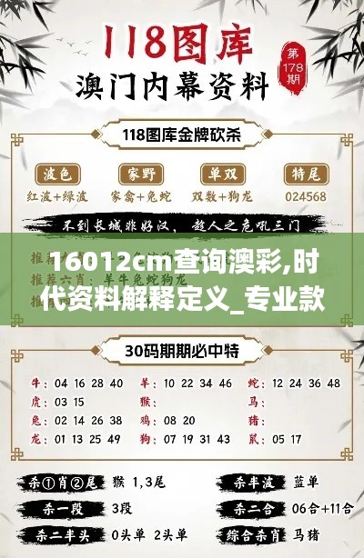 16012cm查询澳彩,时代资料解释定义_专业款15.551