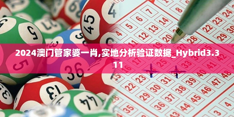 2024澳门管家婆一肖,实地分析验证数据_Hybrid3.311