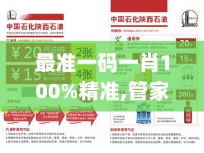 最准一码一肖100%精准,管家婆大小中特,快速设计问题计划_HarmonyOS7.486