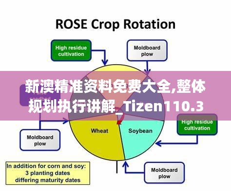 还淳反朴 第3页