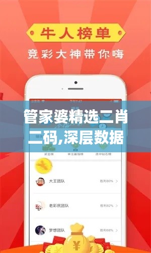 管家婆精选二肖二码,深层数据执行策略_FHD7.574