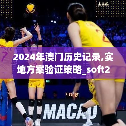 2024年澳门历史记录,实地方案验证策略_soft2.207