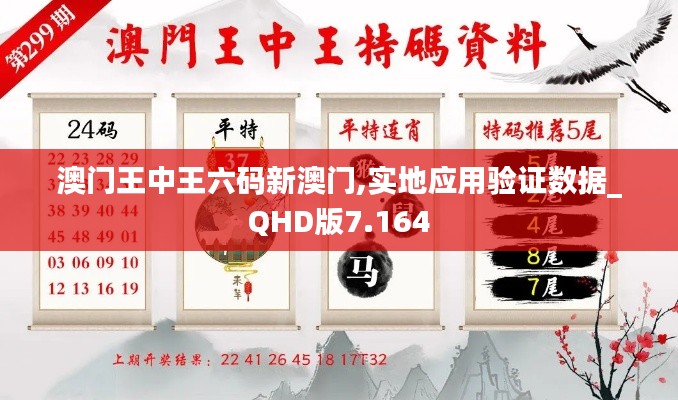 澳门王中王六码新澳门,实地应用验证数据_QHD版7.164