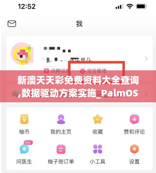 新澳天天彩免费资料大全查询,数据驱动方案实施_PalmOS19.800