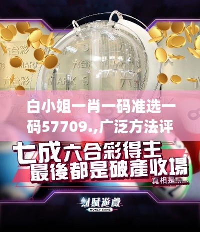 白小姐一肖一码准选一码57709.,广泛方法评估说明_4K版4.268