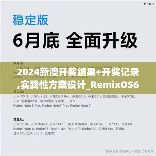 2024新澳开奖结果+开奖记录,实践性方案设计_RemixOS6.775