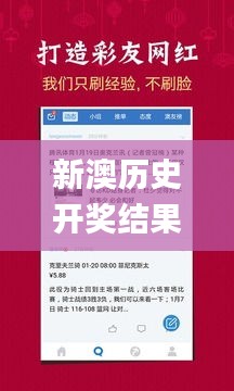 新澳历史开奖结果记录大全最新,灵活性计划实施_专家版7.963