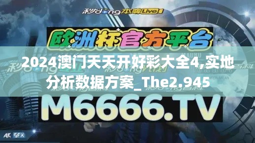 2024澳门天天开好彩大全4,实地分析数据方案_The2.945