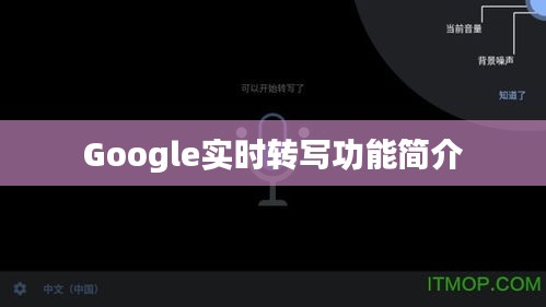 Google实时转写功能简介