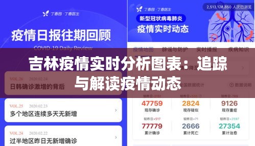 吉林疫情实时分析图表：追踪与解读疫情动态