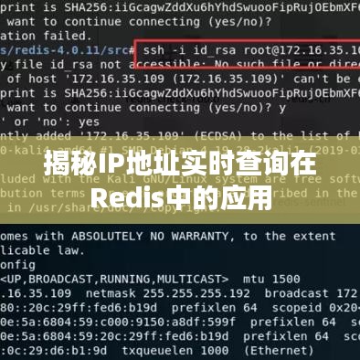 揭秘IP地址实时查询在Redis中的应用