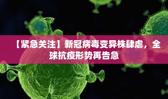 秀外慧中 第2页