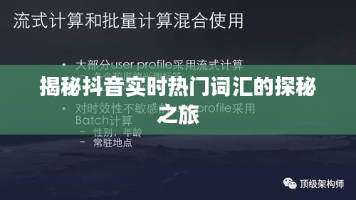 揭秘抖音实时热门词汇的探秘之旅