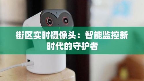 街区实时摄像头：智能监控新时代的守护者