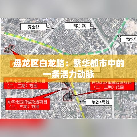 盘龙区白龙路：繁华都市中的一条活力动脉