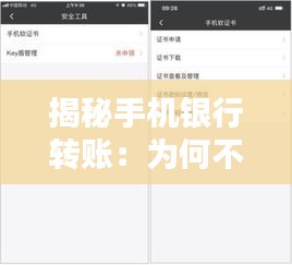 揭秘手机银行转账：为何不是实时到账？