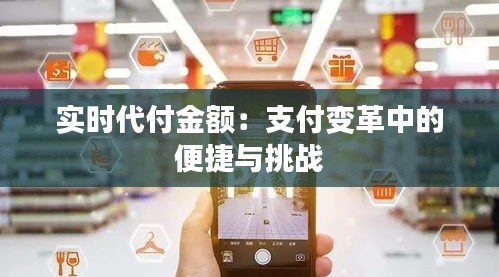 实时代付金额：支付变革中的便捷与挑战