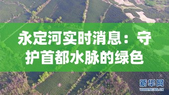永定河实时消息：守护首都水脉的绿色守望
