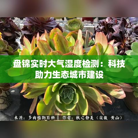 盘锦实时大气湿度检测：科技助力生态城市建设