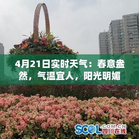 4月21日实时天气：春意盎然，气温宜人，阳光明媚