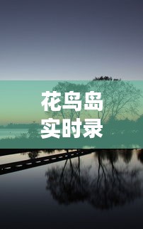 花鸟岛实时录像：如何轻松观看大自然的美景