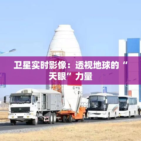 小家碧玉 第3页