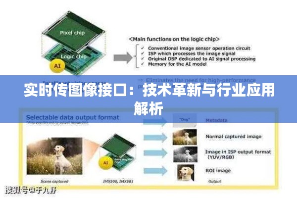 达官贵人 第2页