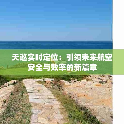 天巡实时定位：引领未来航空安全与效率的新篇章