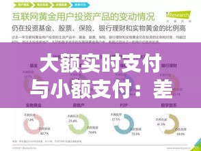 大额实时支付与小额支付：差异、挑战与未来趋势