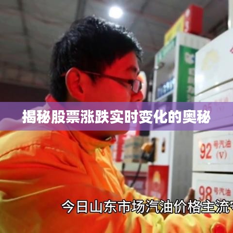 揭秘股票涨跌实时变化的奥秘